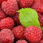 Raspberries